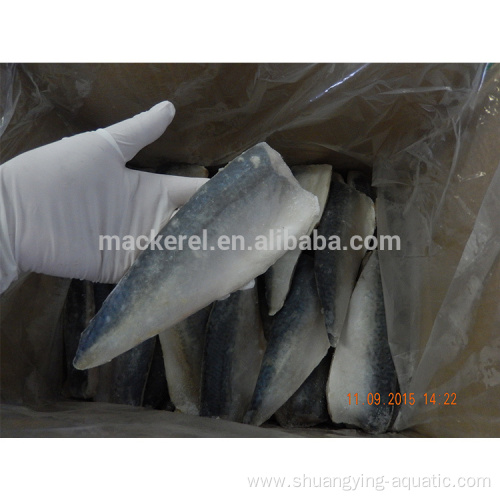 Chinese Export Frozen Fish Mackerel Fillets